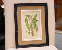Framed Fern Print IV in Black Frame