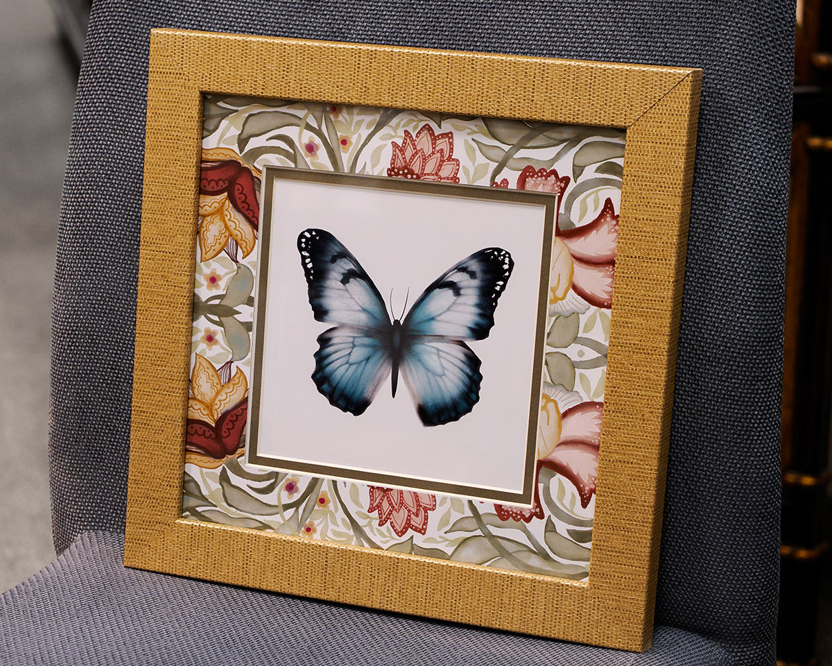 Baroque Butterfly 3/4