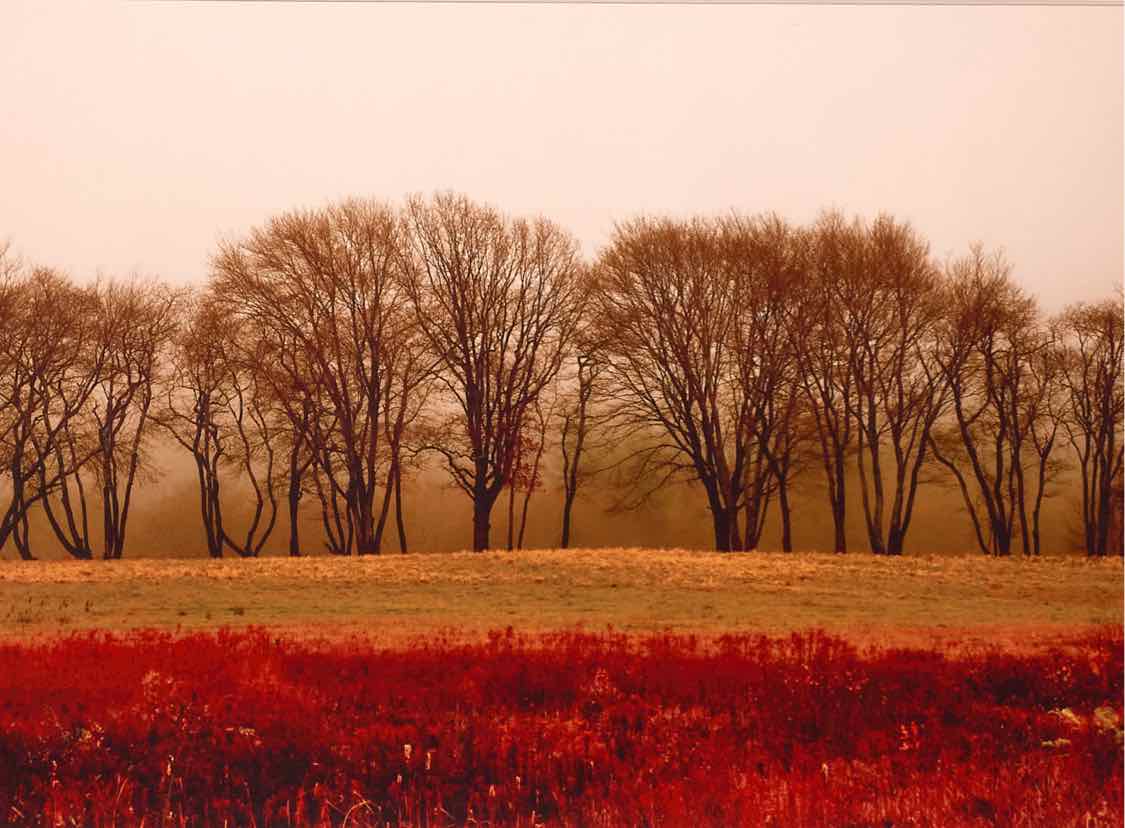 'Old Sandwich Road' Kim Cetrine Photograph Black Finish Frame