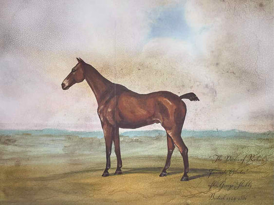 'Equestrian I' Framed Print