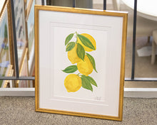 'Lemon 1' Framed Print