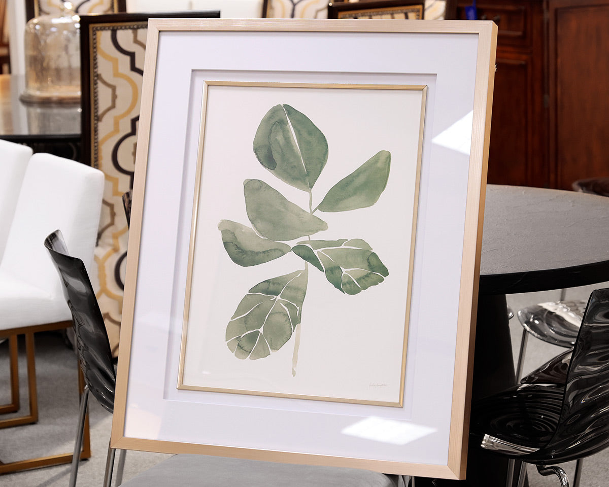 Fiddle Head Leaf Framed Print IV