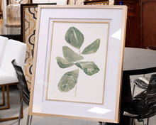 Fiddle Head Leaf Framed Print IV