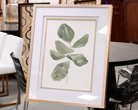 Fiddle Head Leaf Framed Print IV