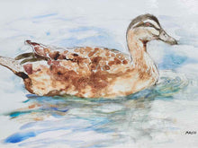 Framed Print:  "Water Duck II"