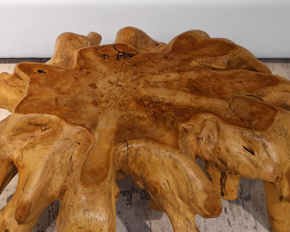 Teak Root Coffee Table