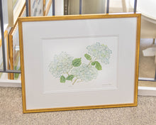 'Hydrangea 1' Framed Print