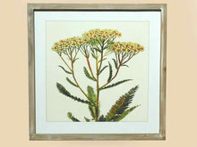 White Washed Framed Flower Print Under Glass