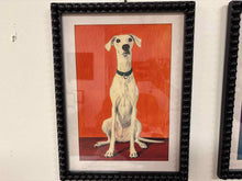 Hound on Red Background Print