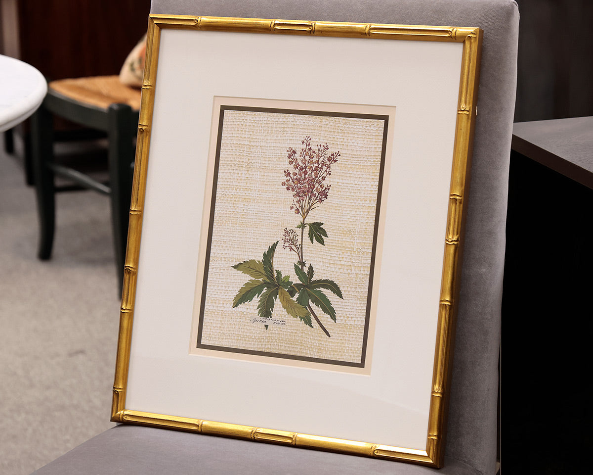 Antique Botanica II 1/4