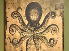 Octopus Print On Canvas