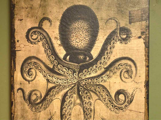 Octopus Print On Canvas