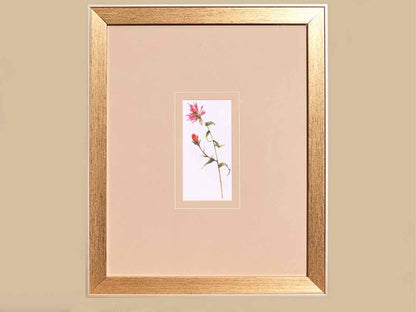'Pretty Florals I' Framed Print 1/3