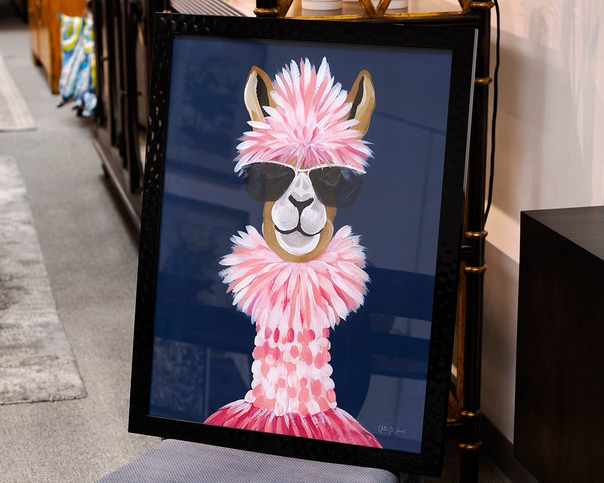 'Miami Alpaca I'