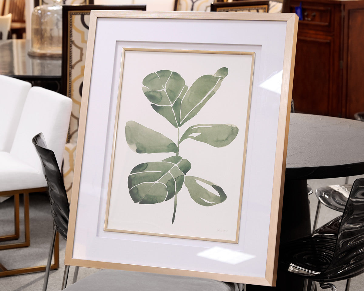 Fiddle Head Leaf Framed Print II