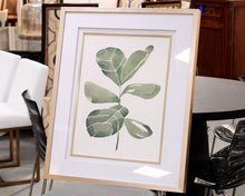 Fiddle Head Leaf Framed Print II