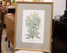 "Botanical Plants I" Premium Matted Print in Distressed Gold Frame