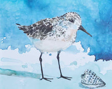 Pair Of Delray Sandpiper Art Prints  In Shiplap Style Frame