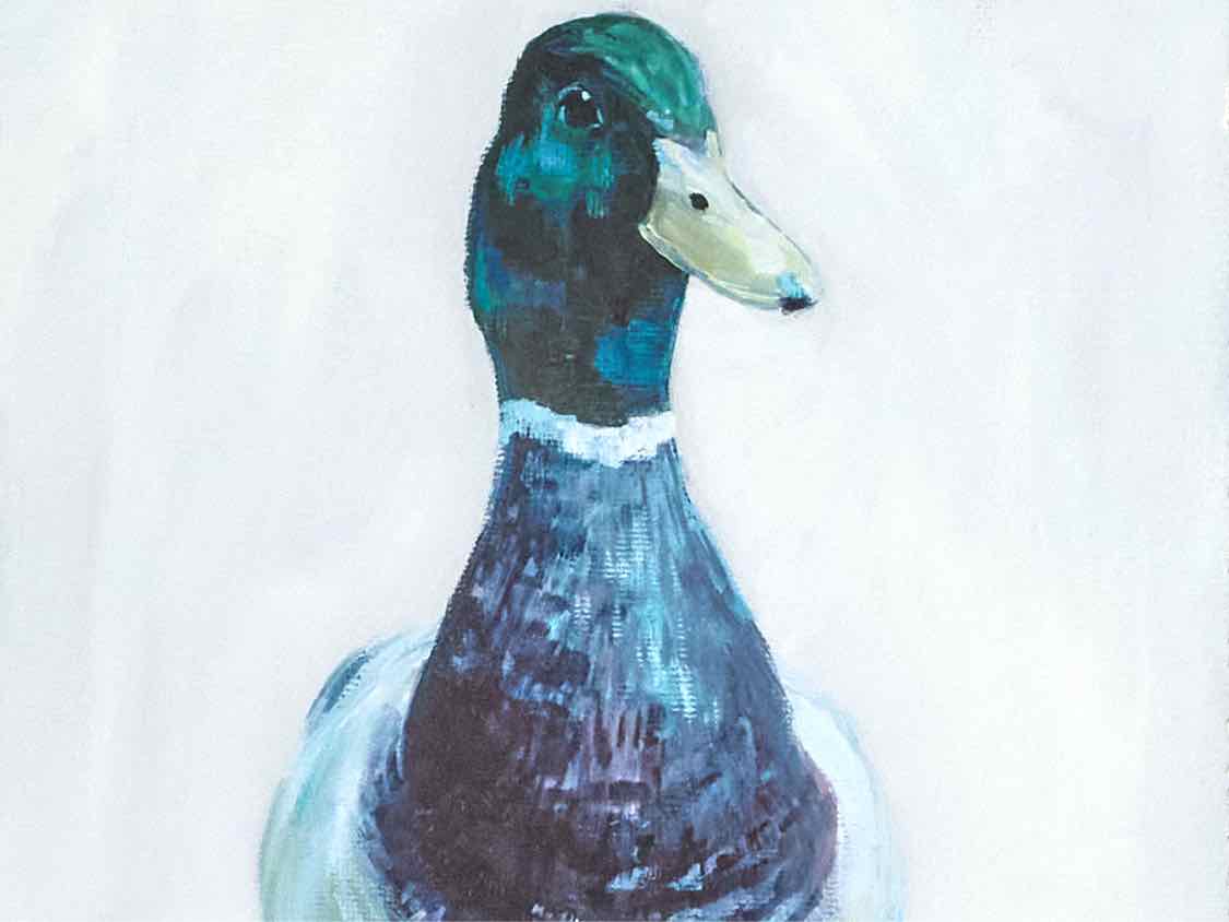'Mallard Walking 2' in Silver Frame