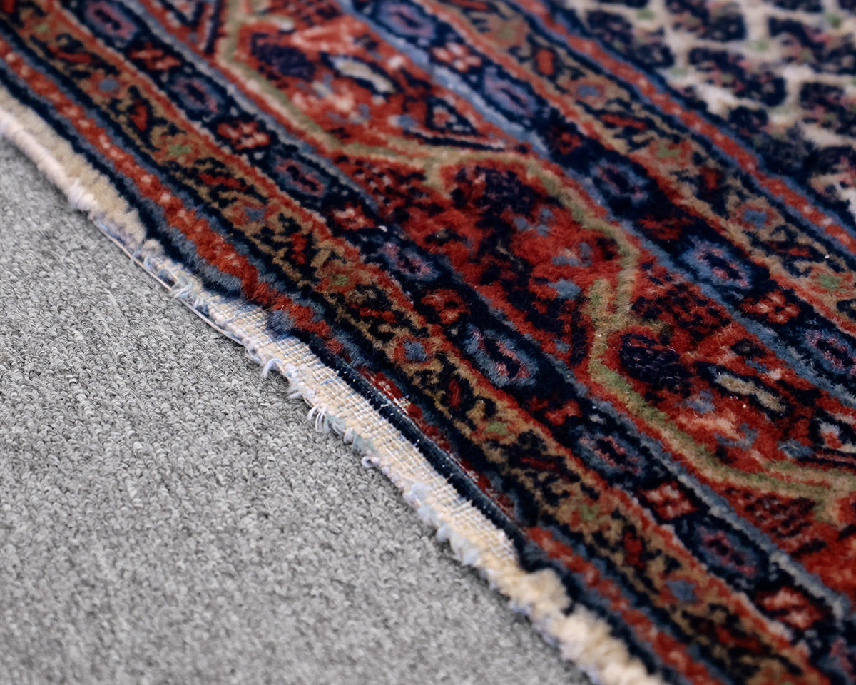 Brookline Oriental 4'x6' Area Rug