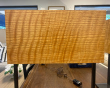 Pair Holly Hunt Red Oak Shade Contemporary Table Lamps