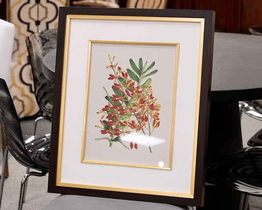 Orchid Botanical Framed Print II