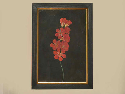 Framed Giclee 'Grapefruit Paloma Pistachio'