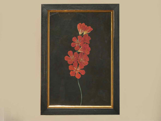 Framed Giclee 'Grapefruit Paloma Pistachio'