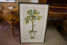 Framed Print:  Lemon Fruit Topiary I