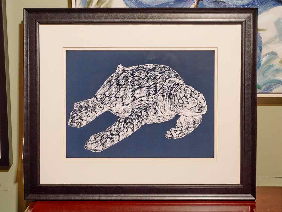 Sea Turtle Print Double Matted Under Glass In Black Frame