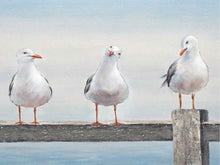 'The Lineup' White Shiplap Ftamed Print On Canvas