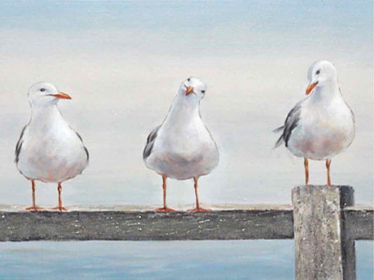 'The Lineup' White Shiplap Ftamed Print On Canvas