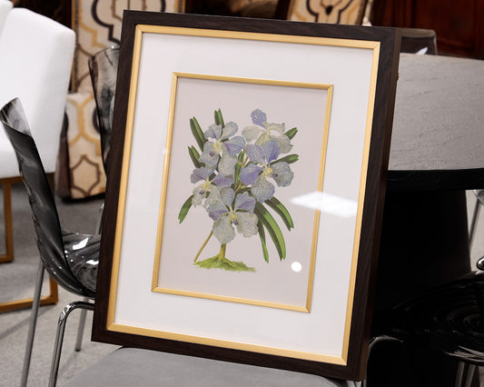 Orchid Botanical Framed Print V