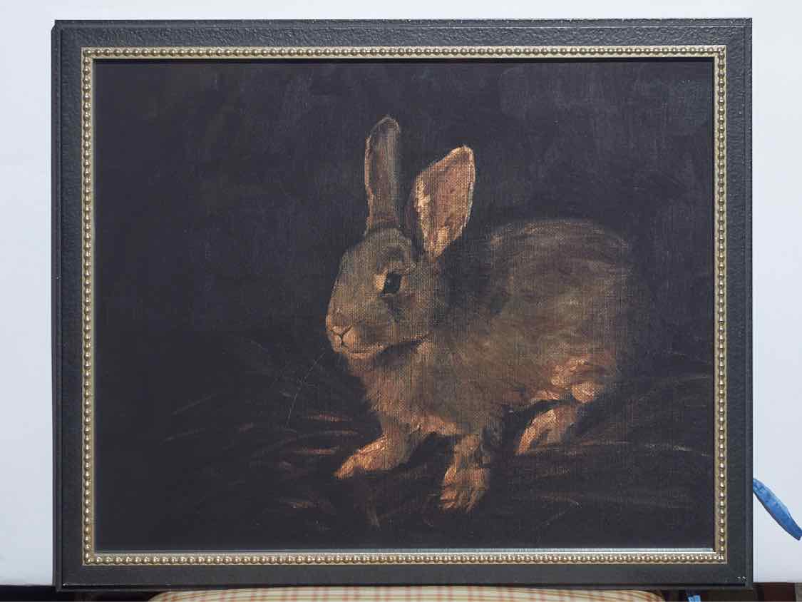 Framed Print; Resting Bunny; 1/4