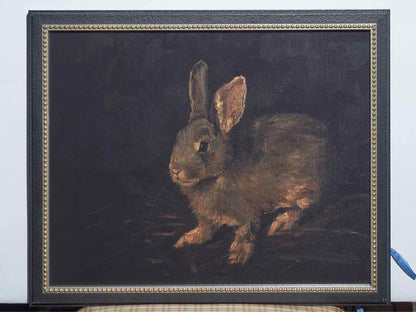 Framed Print; Resting Bunny; 1/4