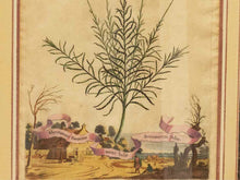 Gold Leaf Framed Print 'Abratonum Foemina'