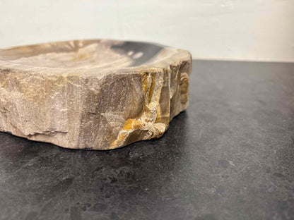 Petrified Wood Decorative Tray