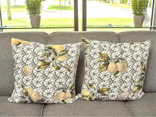 Pair Upholstered Lemon Accent Velvet Backing Accent Pillows