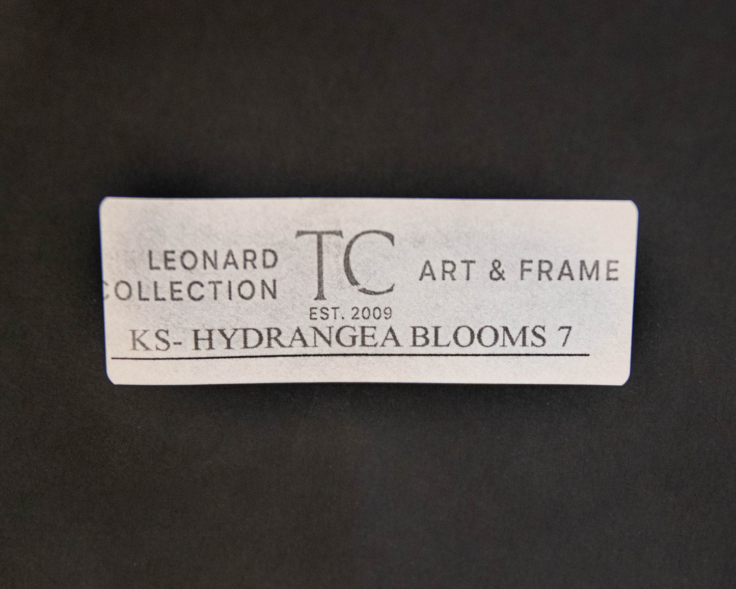 'Hydrangea Blooms' Framed Print 2