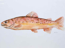Framed Giclee:  "Colorful Trout II"