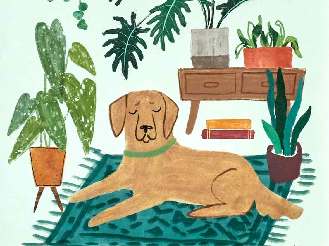 'Urban Jungle Dogs I'