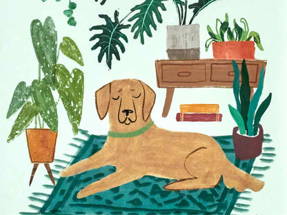 'Urban Jungle Dogs I'