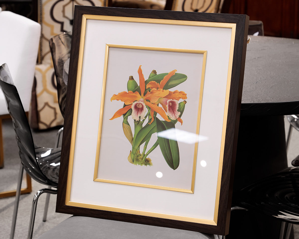 Orchid Botanical Framed Print I