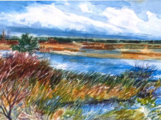 "Low Country IV" Signed Numbered Double Matted Print in Gold Frame