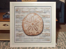 'Seashells III' Print White Framed Under Glass