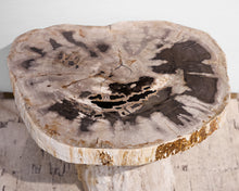 Petrified Wood Accent Table