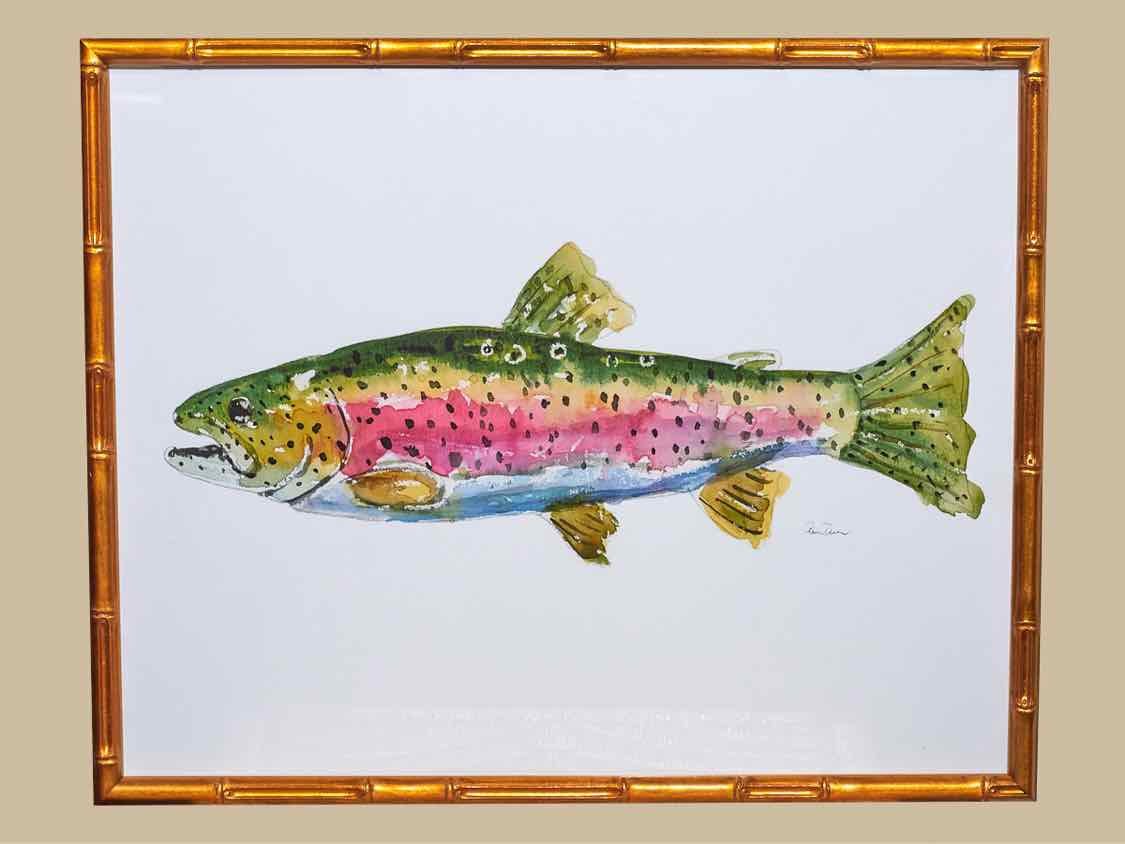 Framed Giclee:  "Colorful Trout I"