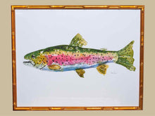 Framed Giclee:  "Colorful Trout I"