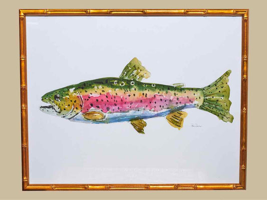 Framed Giclee:  "Colorful Trout I"