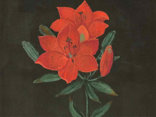 Framed Giclee 'Red Flowers at Midnight IV'